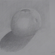 Tomacki Zenon - Studium jabłka ( rysunek ołówkiem )