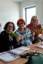 zdjęcia z akcji wręczania kwiatów