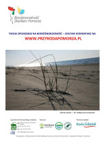 Bioróżnorodność pomorza