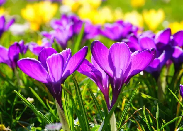 przerwa świąteczna 18.04-22.04.2025