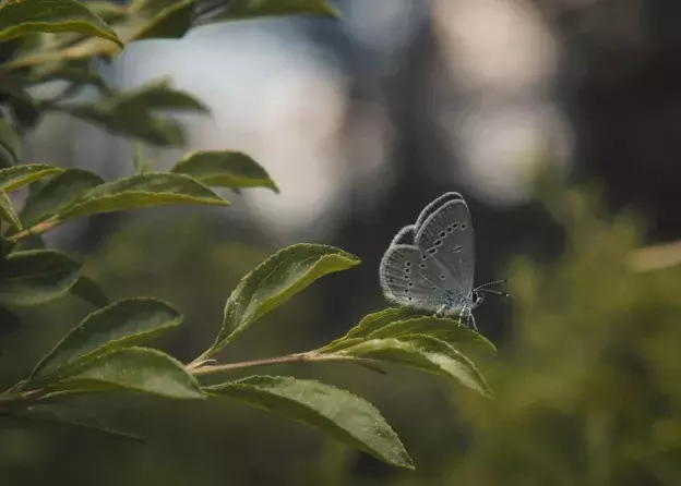 nowe zajęcia z oferty dodatkowej w semestrze…