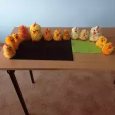 zdjęcie 1