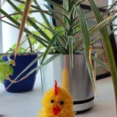 zdjęcie 3