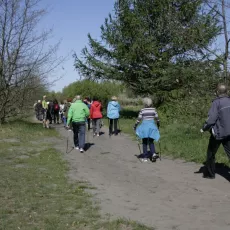 7.05.2015 - III Marsz Nordic Walking Studentów UTW.